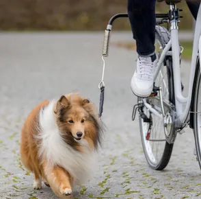 Zestaw przewodników do roweru DE LUXE